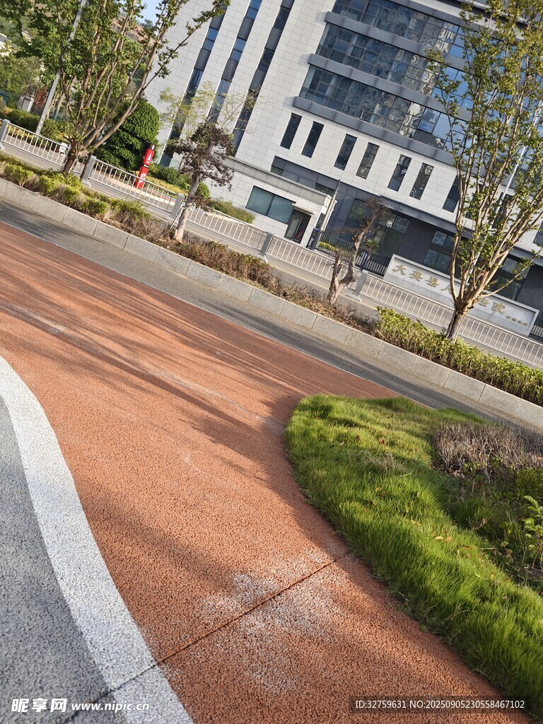 城市道路旁的绿植景观