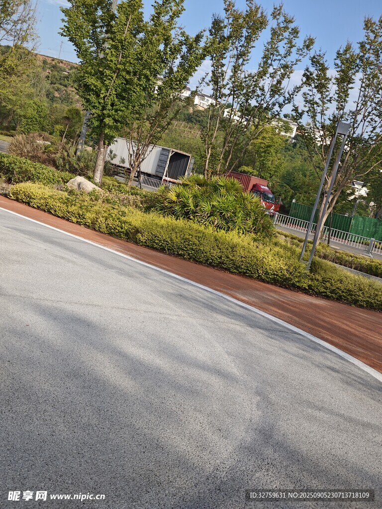 城市中整洁的道路与绿植