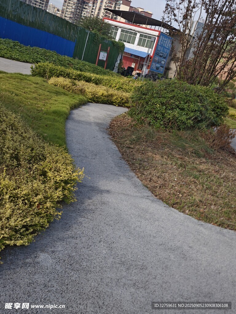 蜿蜒小径旁的绿植景观