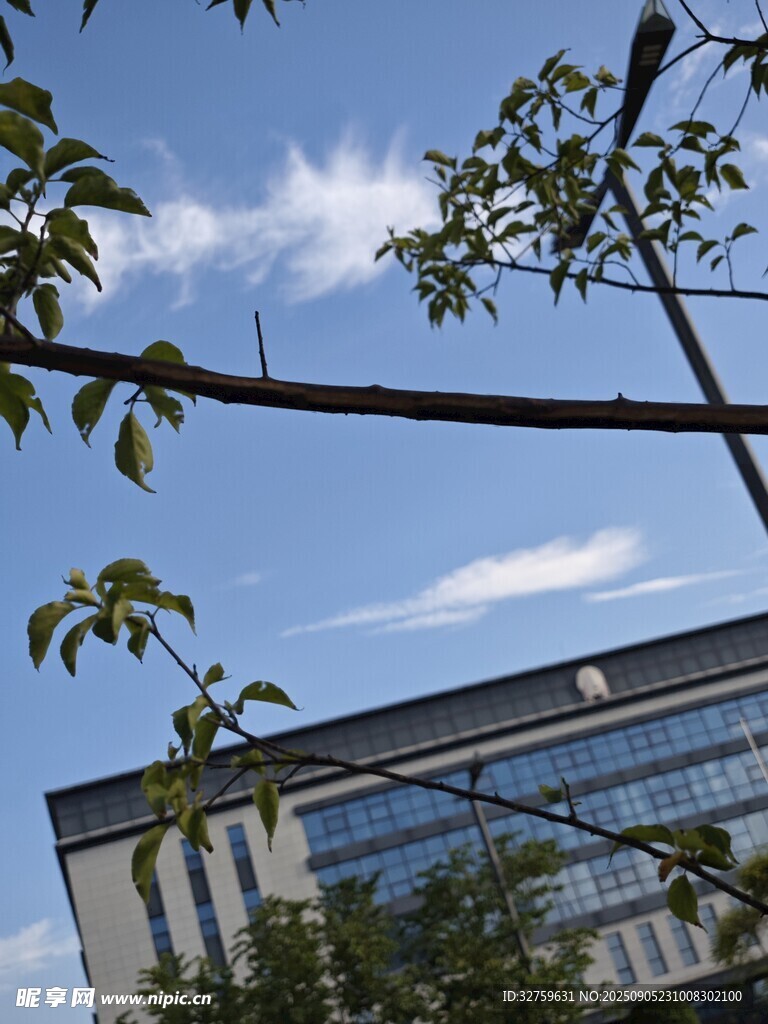 蓝天绿树旁的现代建筑