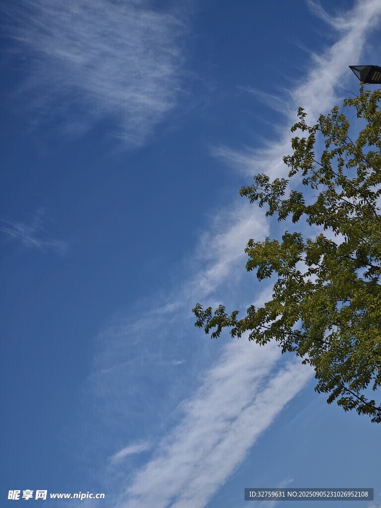 蓝天绿树间的美妙景致
