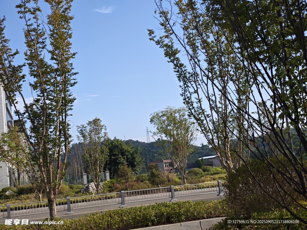 户外清新自然风景