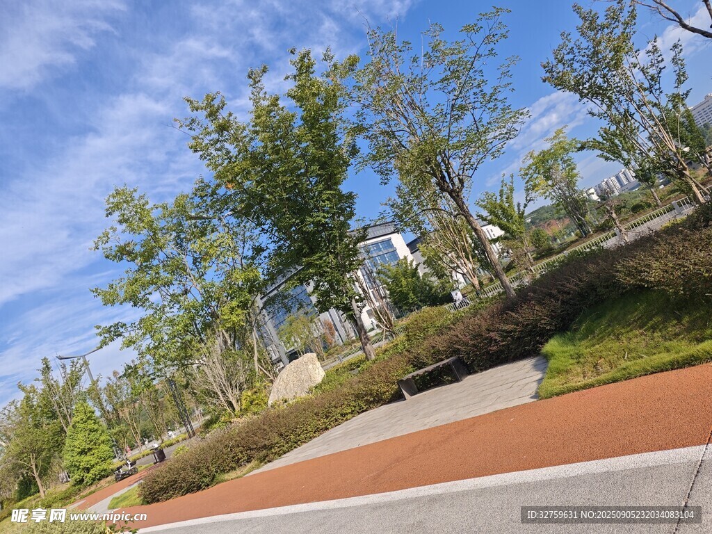 城市中的多彩步道与绿植