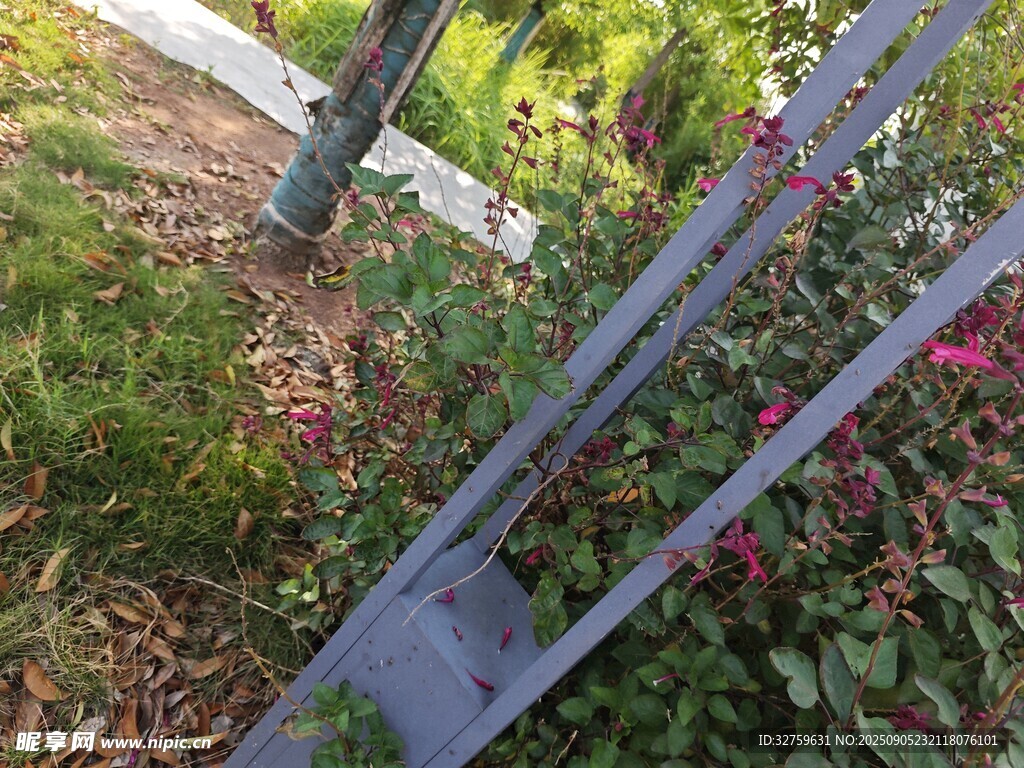 户外金属护栏与花草景观