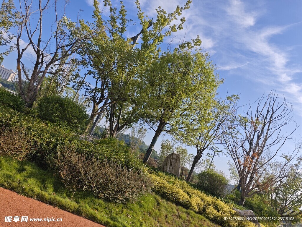春日公园绿意盎然景致
