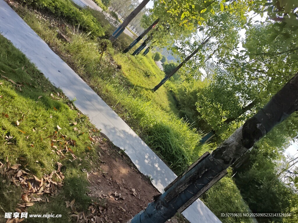  绿意盎然的景致