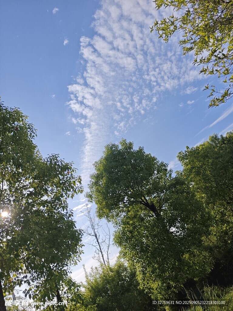 蓝天绿树间的自然景致