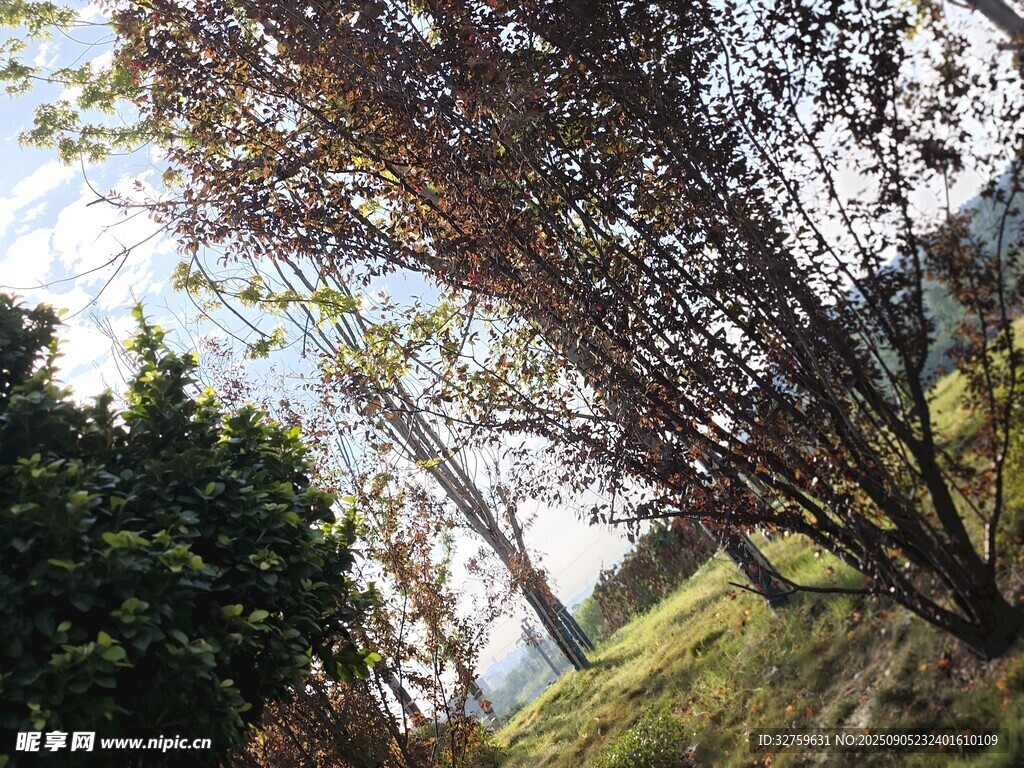 秋日山林景致