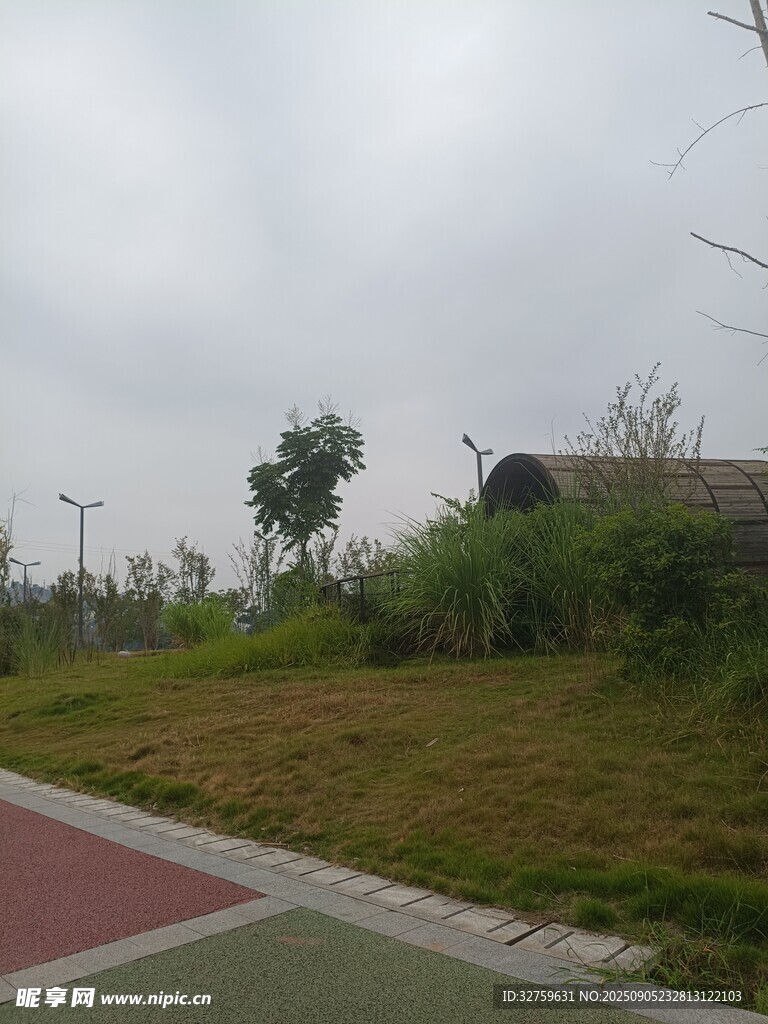 户外草地旁的休闲场景