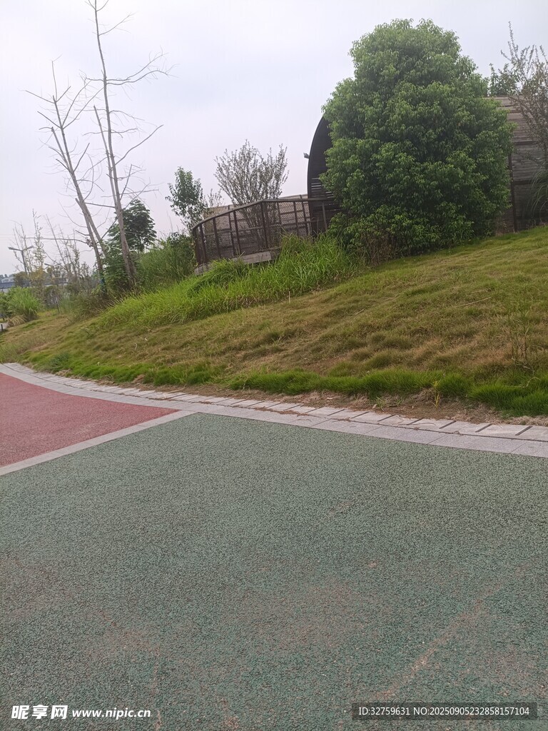 户外彩色路面与绿植景观