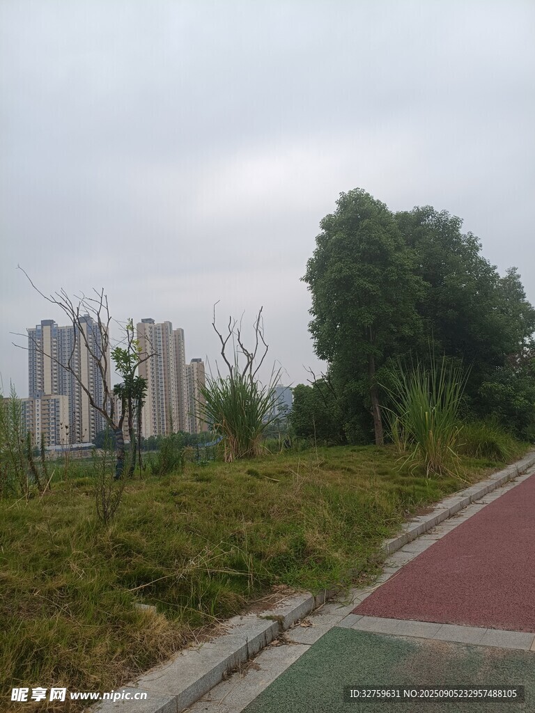 城郊道路旁的绿植与建筑