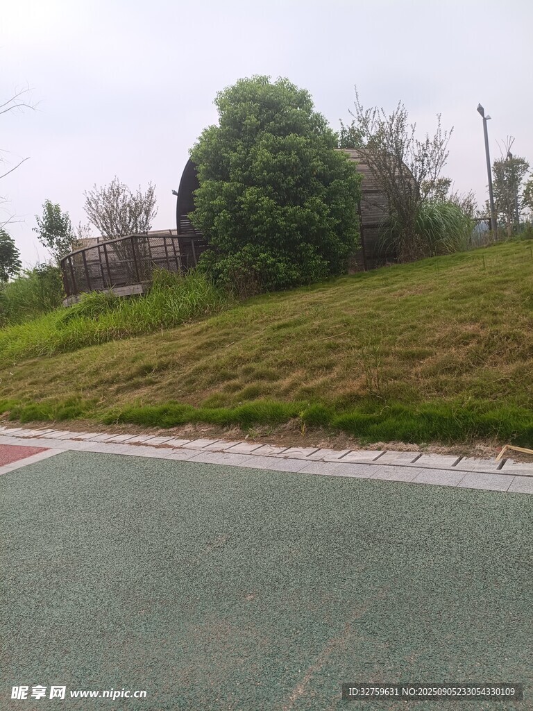 路边绿意盎然的草地与树木