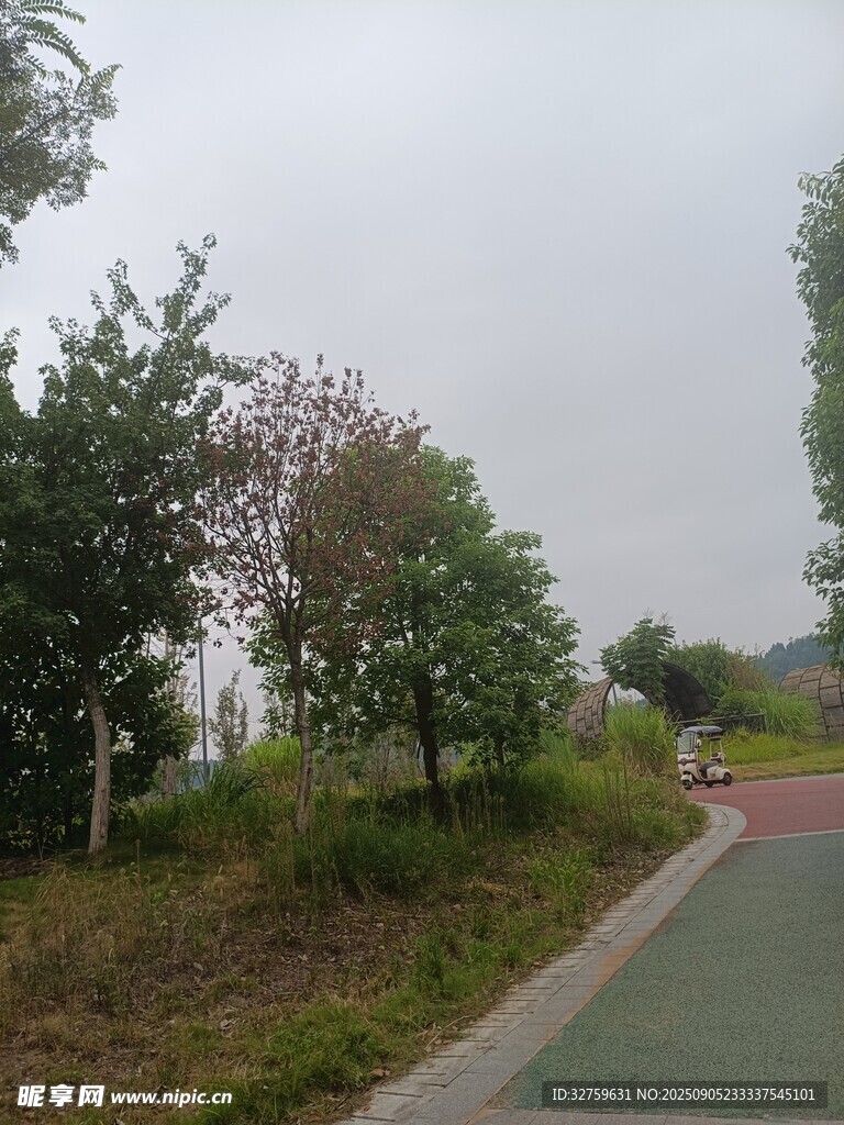 郊外绿意盎然的骑行小路