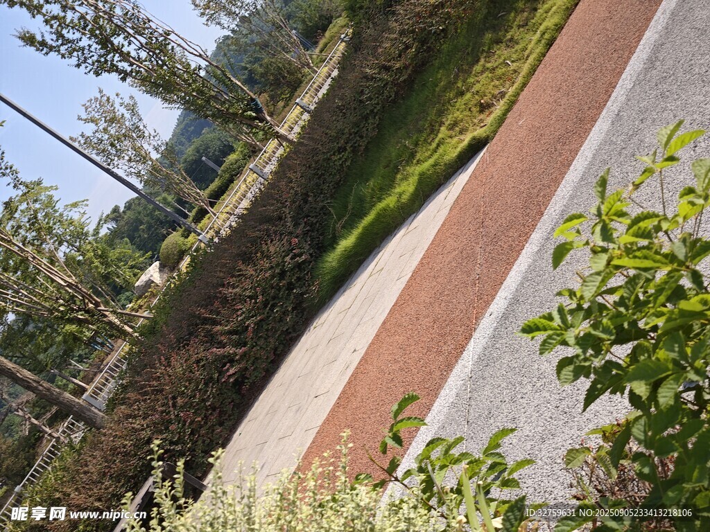 户外绿植环绕的步道景观