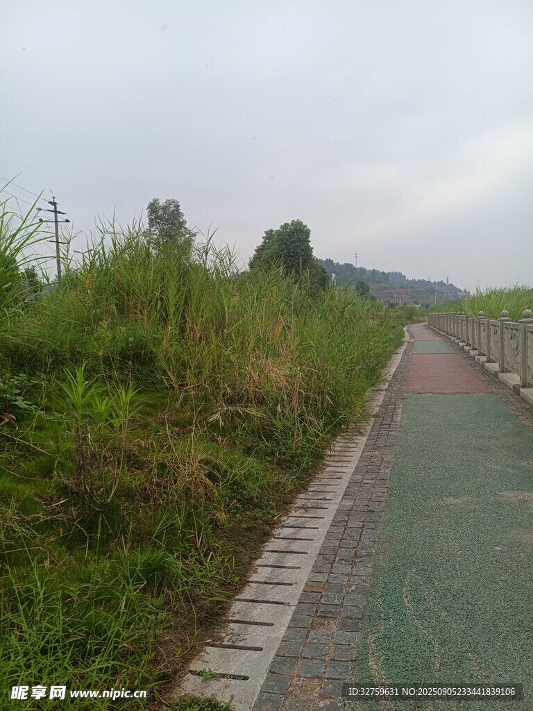 雨后乡间的湿润骑行小道