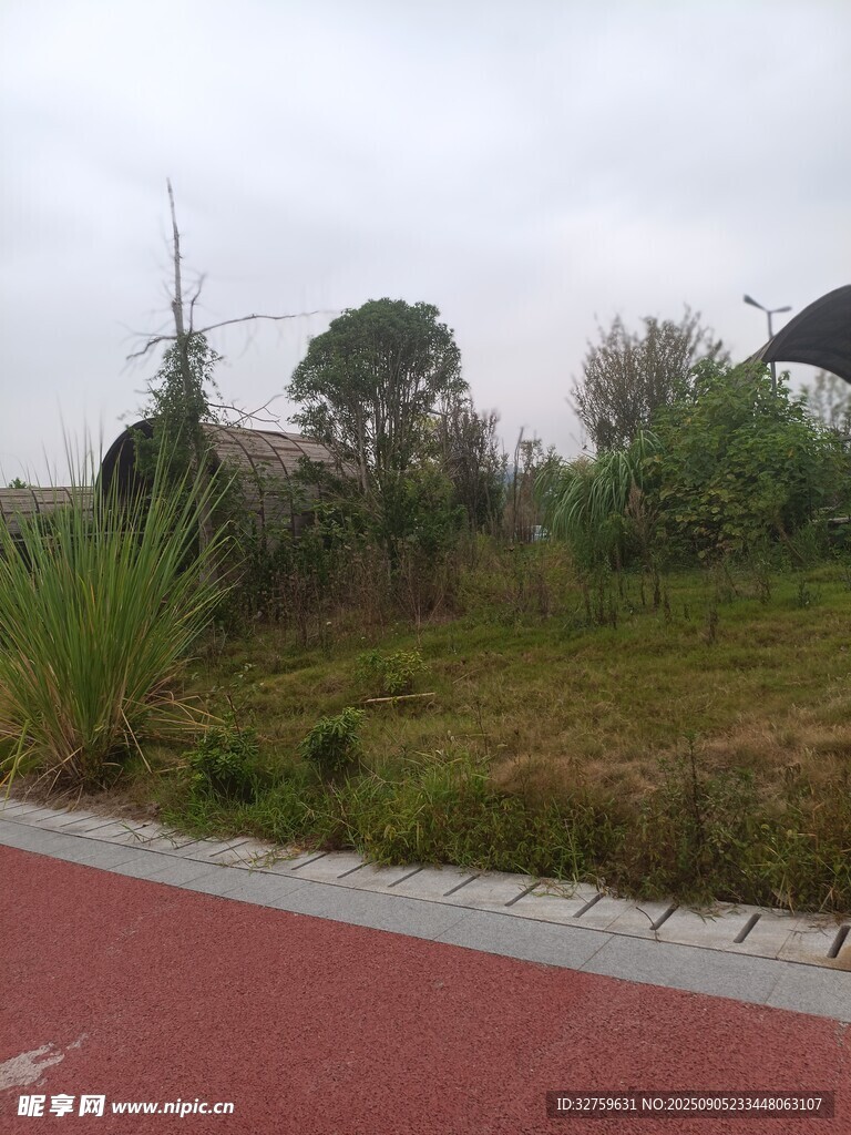 户外红道旁的绿植景观