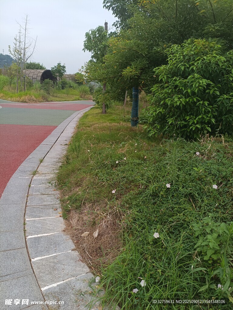 蜿蜒彩道旁的绿植景观