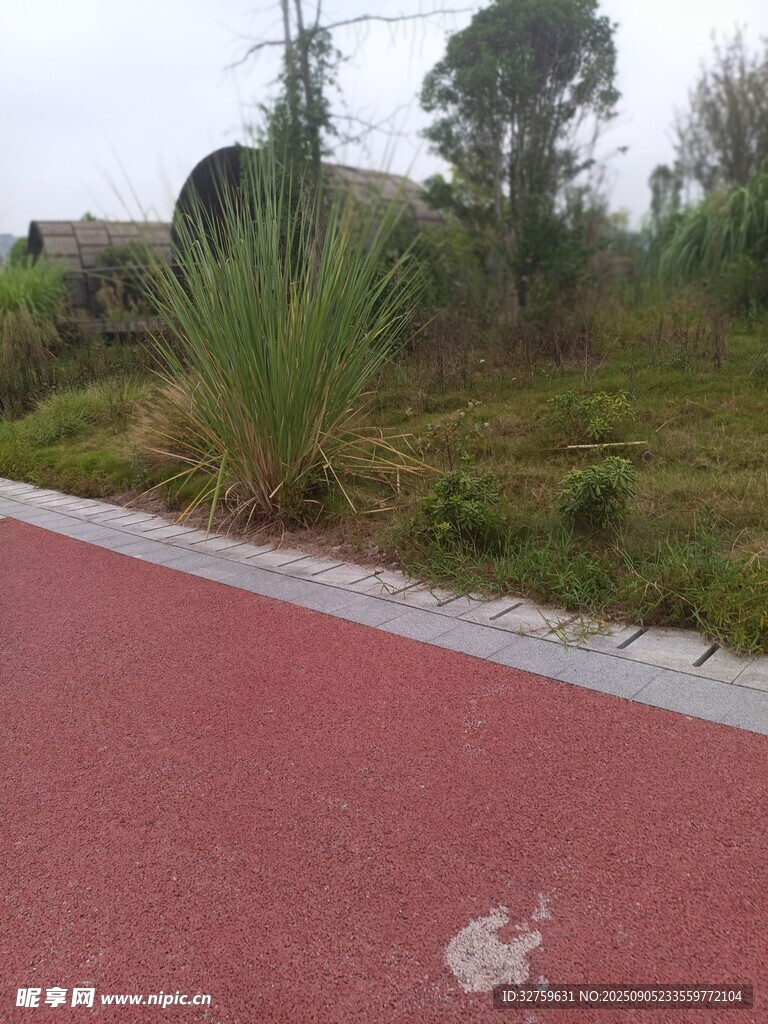 红色步道旁的绿植景观
