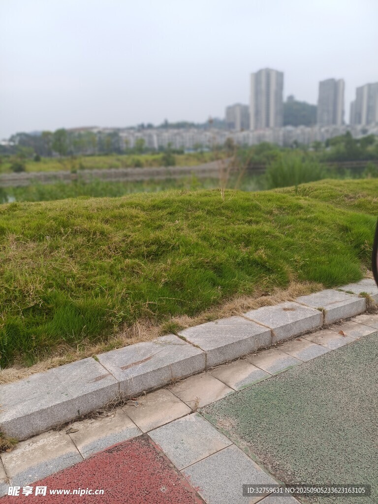 城市边的绿意景观