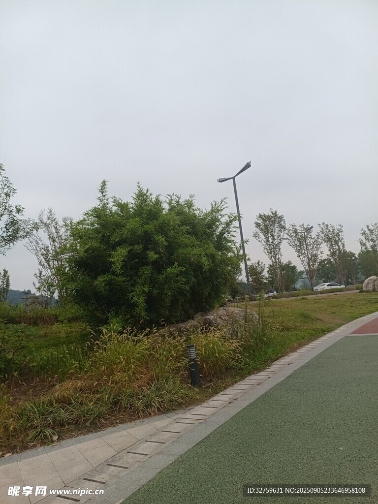 城郊绿意盎然的骑行道路
