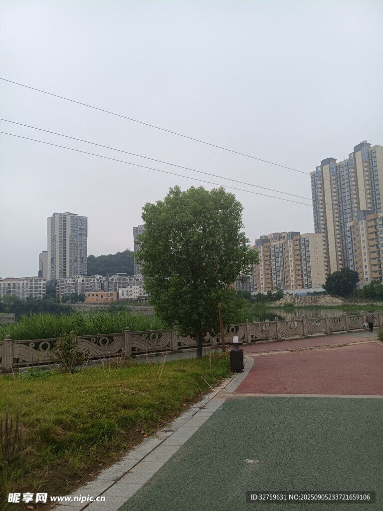 城市公园中的绿植与建筑