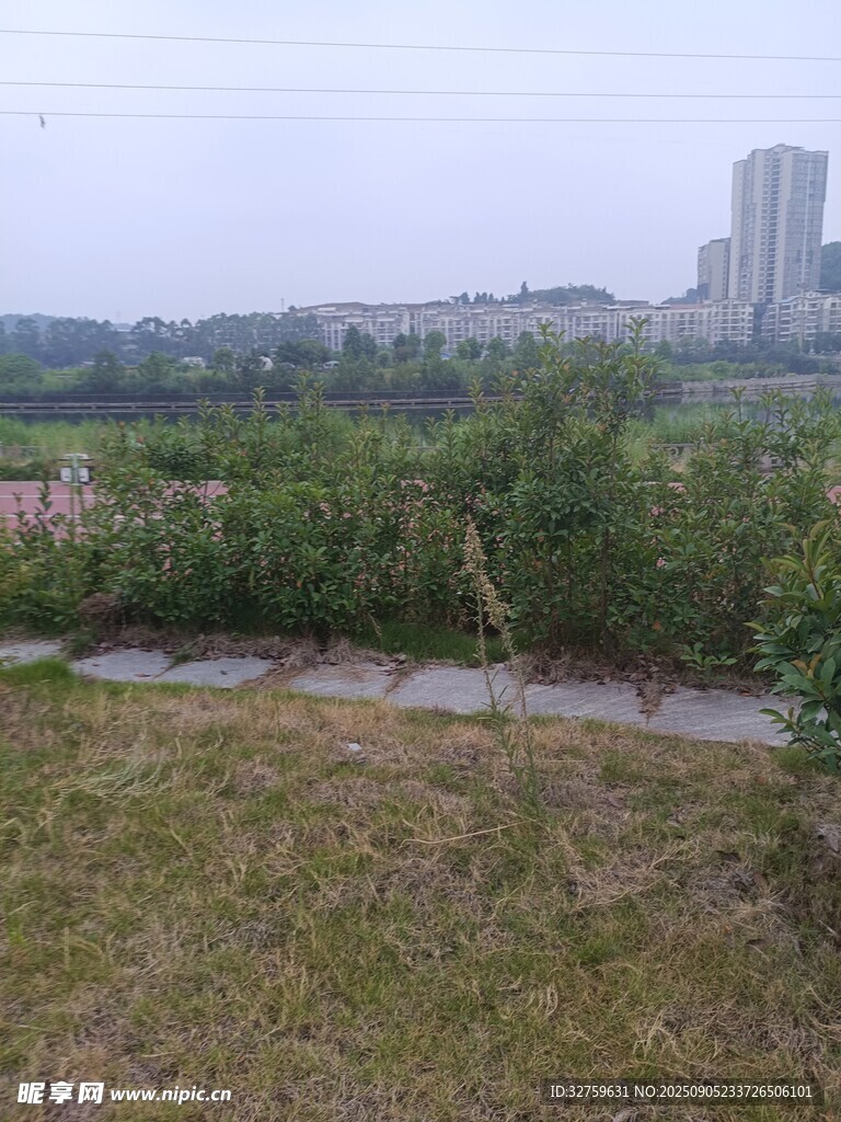 城郊湿地景观