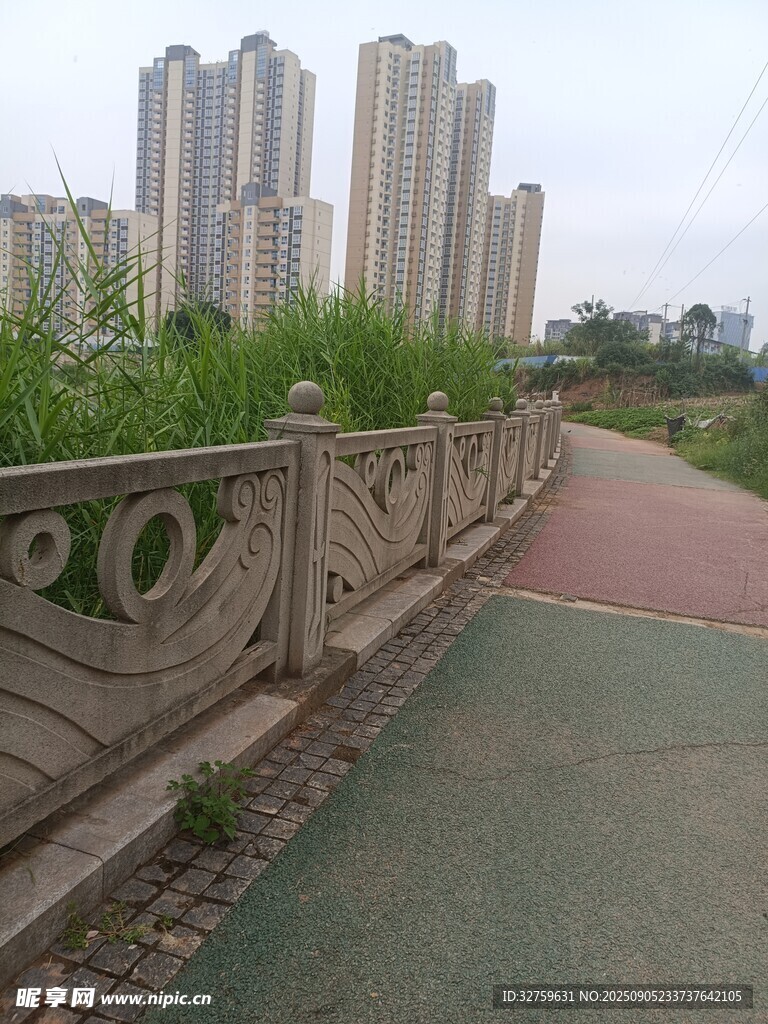 城市步道旁的高楼与绿植