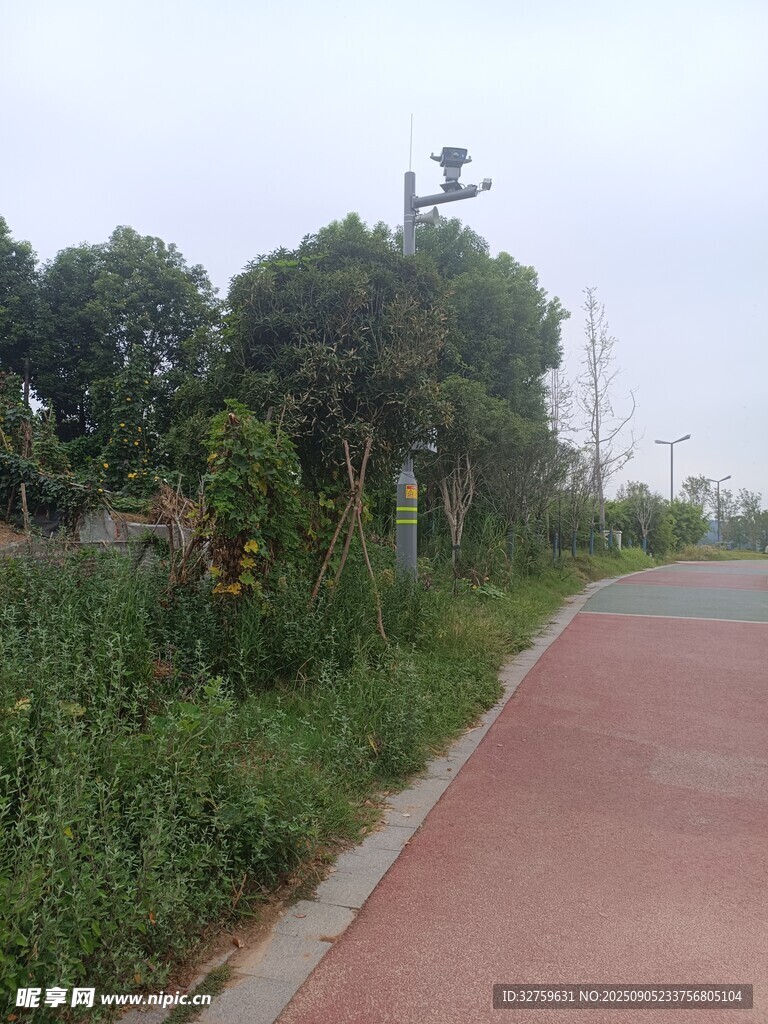 郊外红色步道旁绿植景观