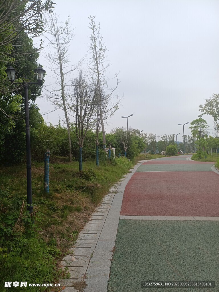 户外多彩步道与绿植景观