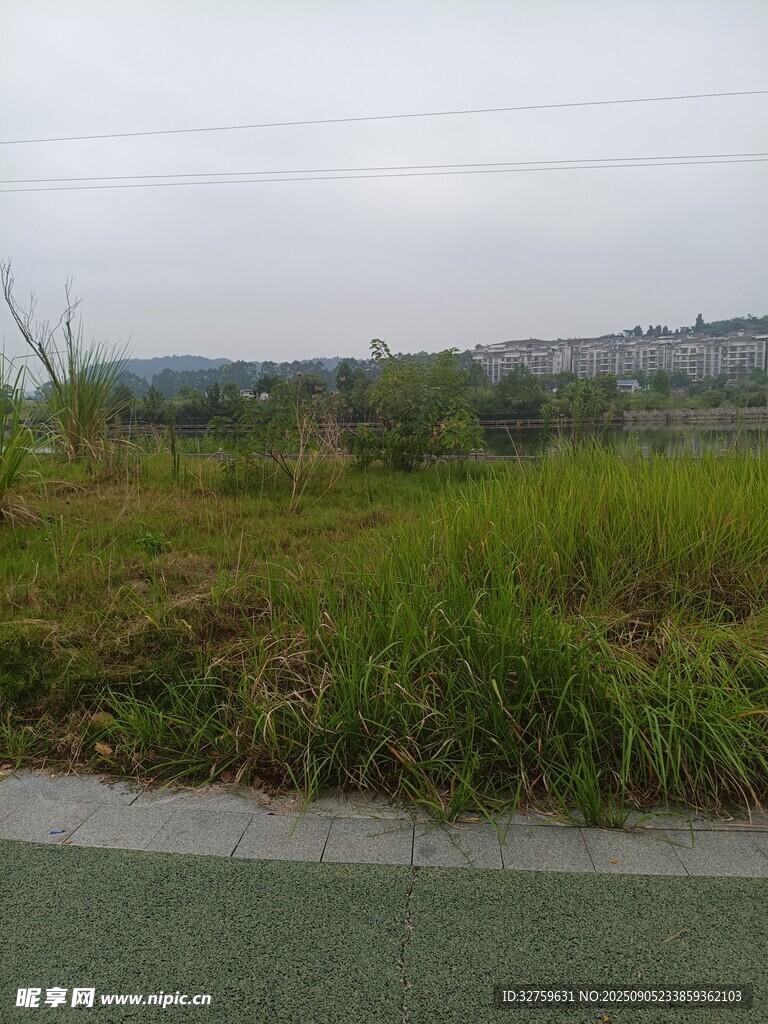 路边草地与远处景致