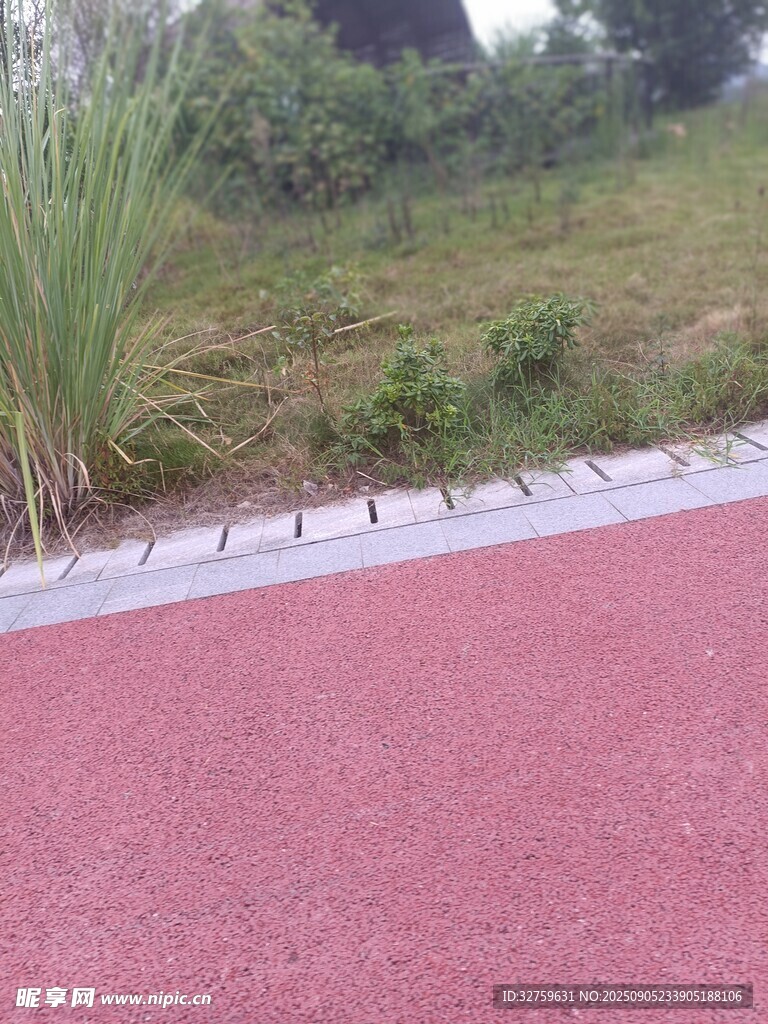 红色步道旁的葱郁绿植