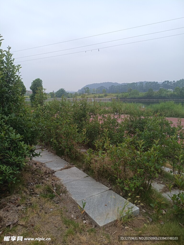 山间小径 