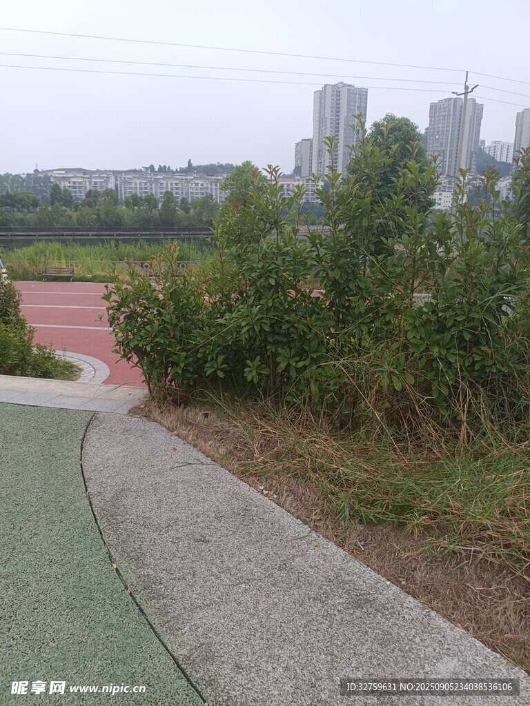 城市中的自然小径景观