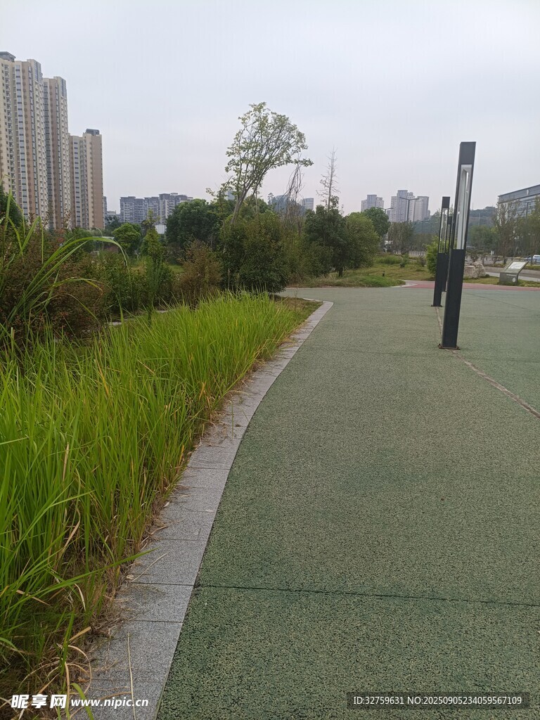 城市绿道 