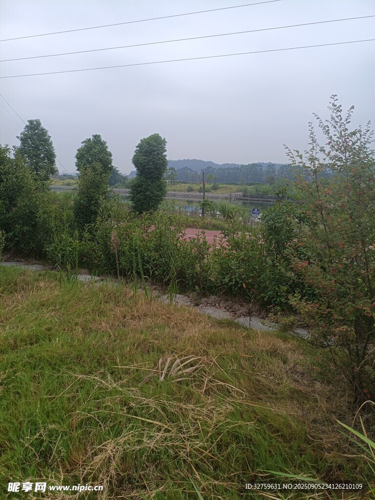 乡村田野风景图