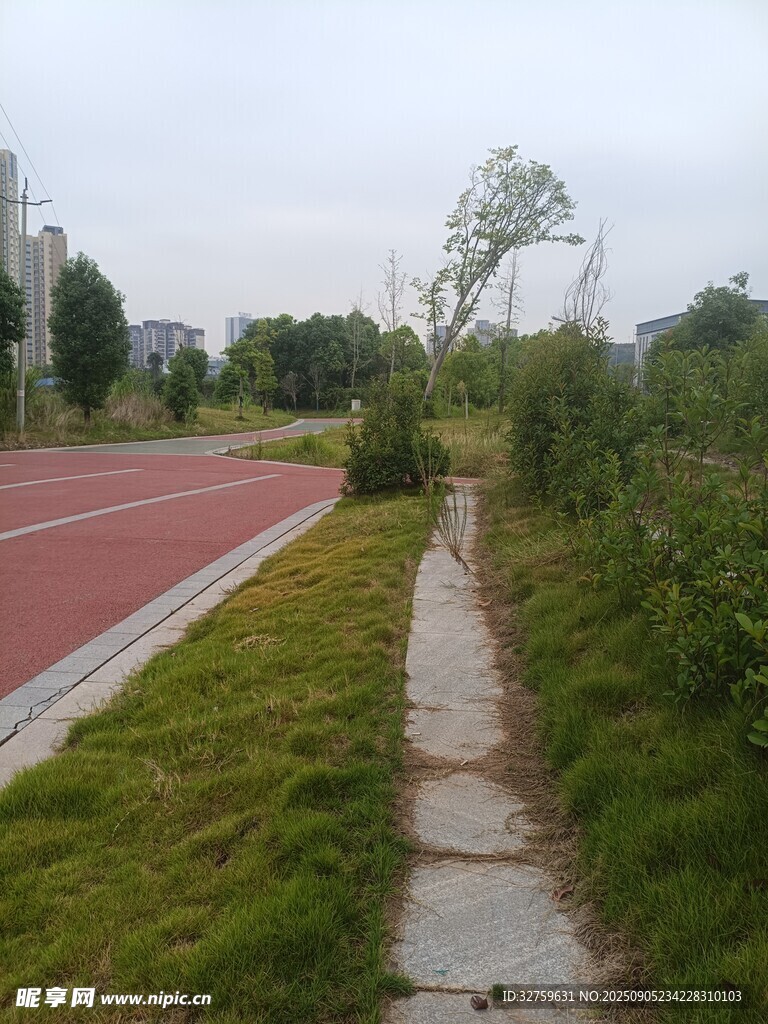 户外小路旁的绿植景观