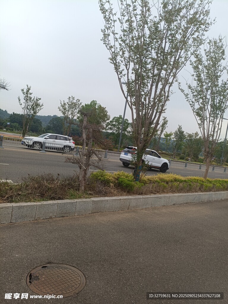 停车场场景及周边树木