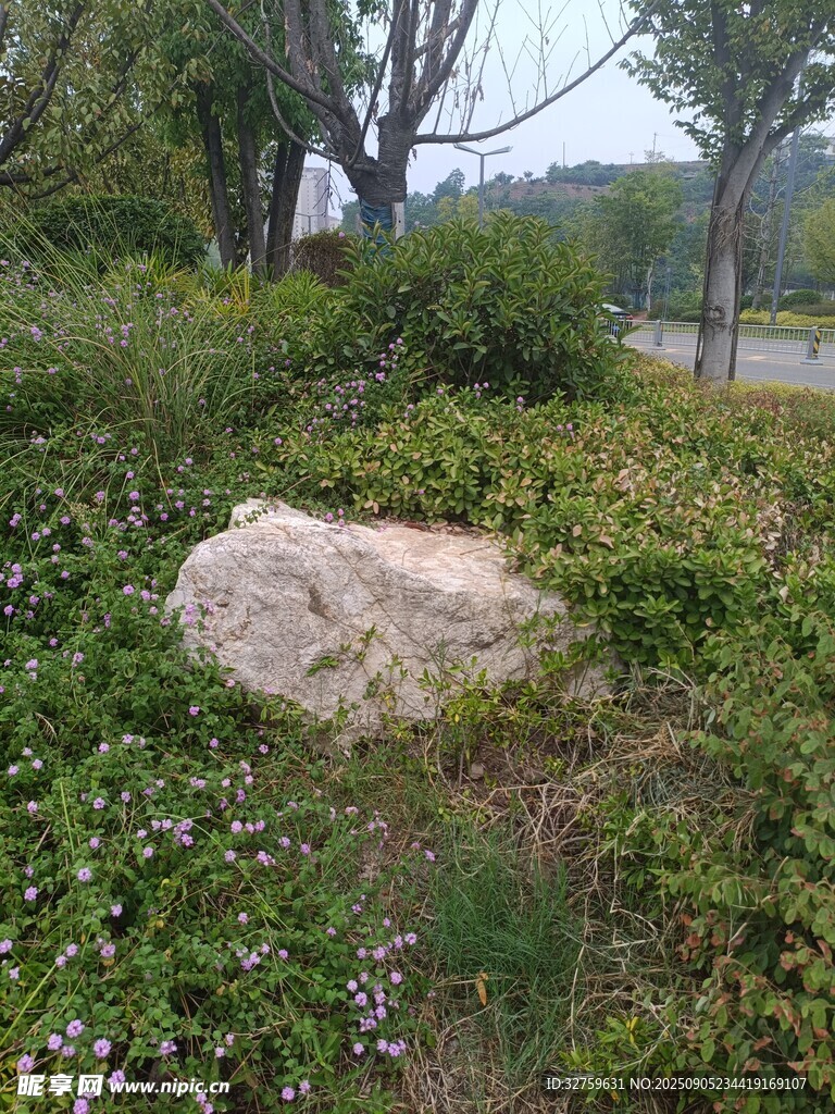 草地中的独块大石头
