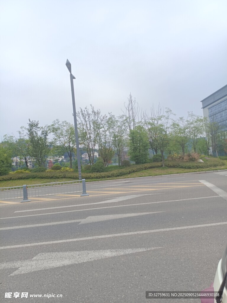 城市道路旁的绿植景观