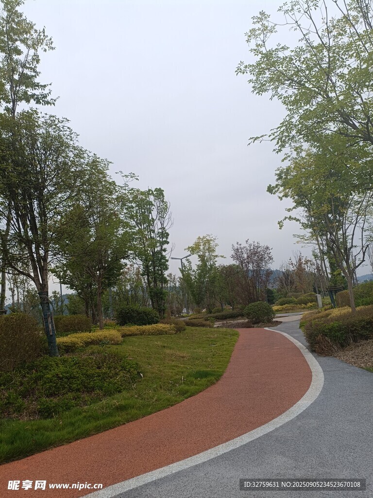 公园中的蜿蜒彩色步道
