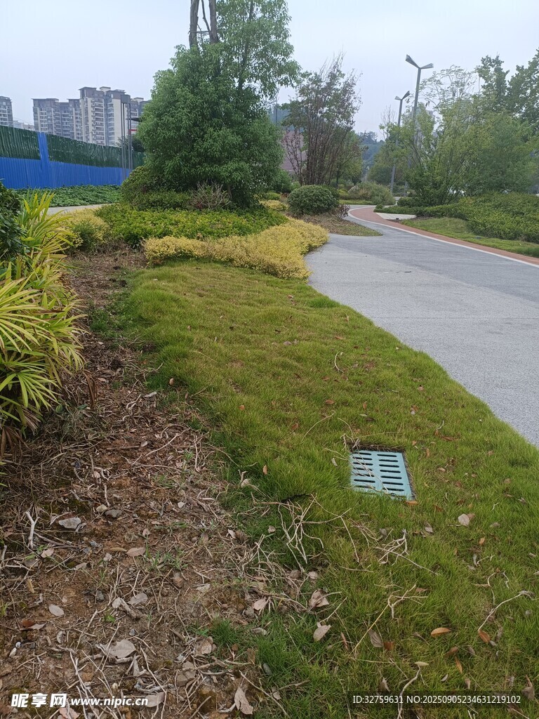 路边绿植景观
