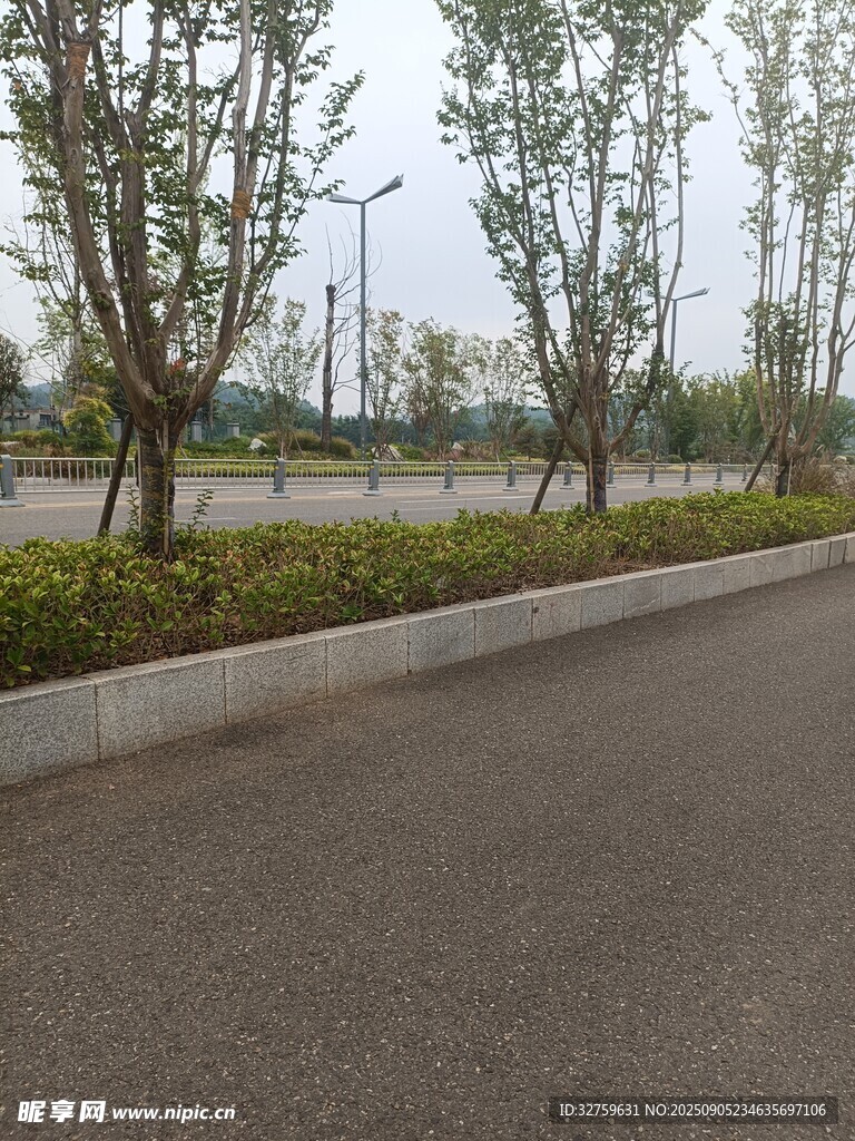 路边绿植景观