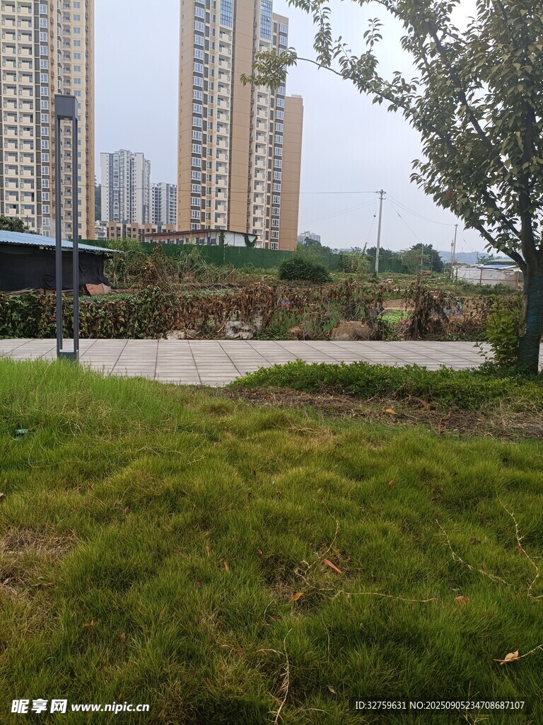 城市绿地与高楼景观
