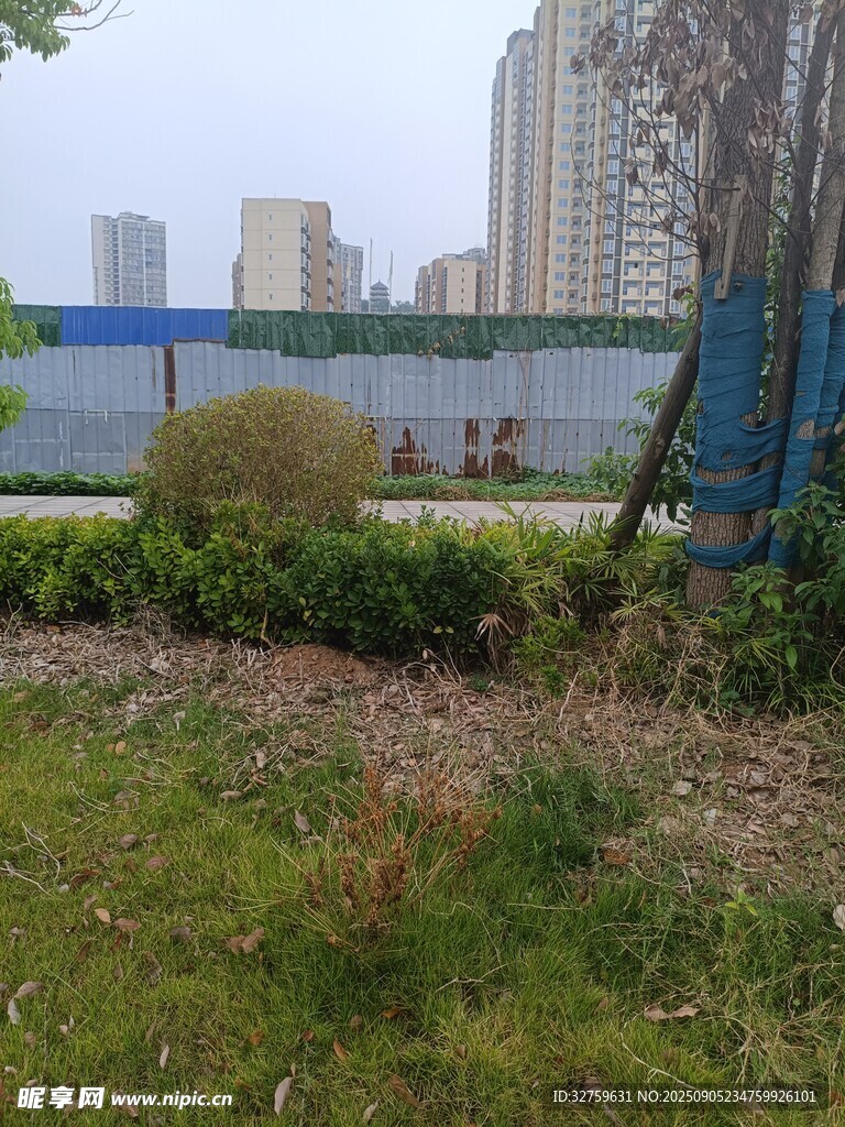 城市中的绿植景观