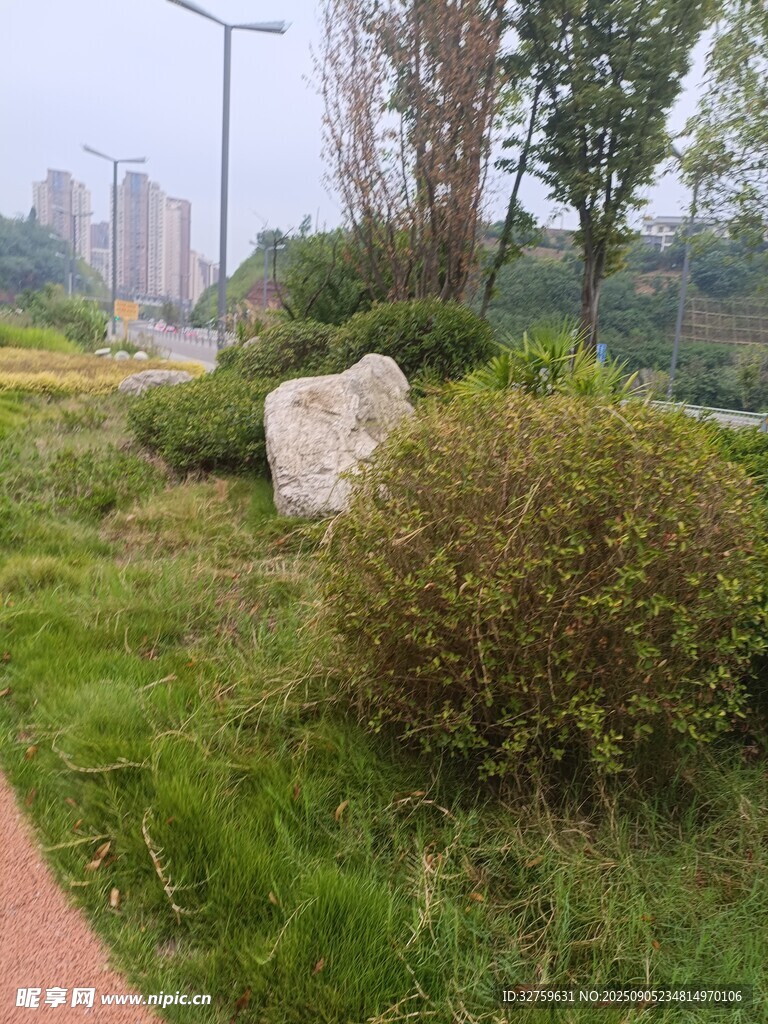 城市绿地中的自然景致