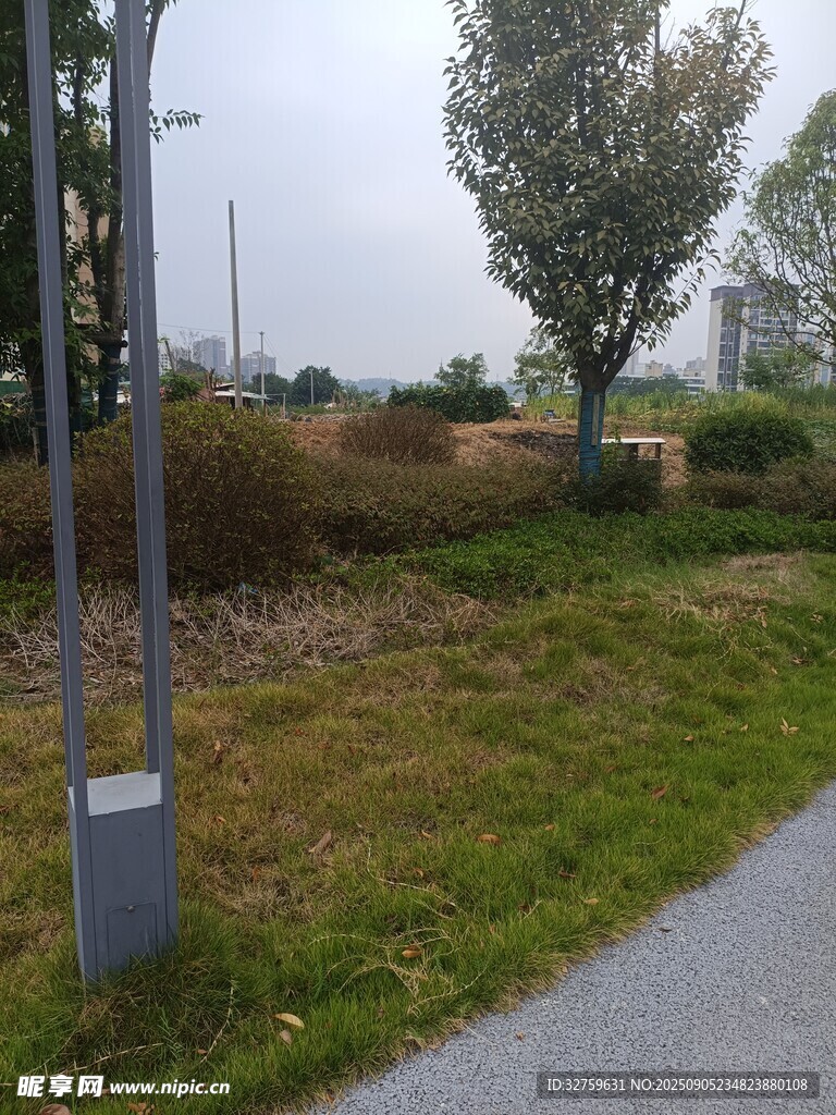 户外草地旁的小路景观