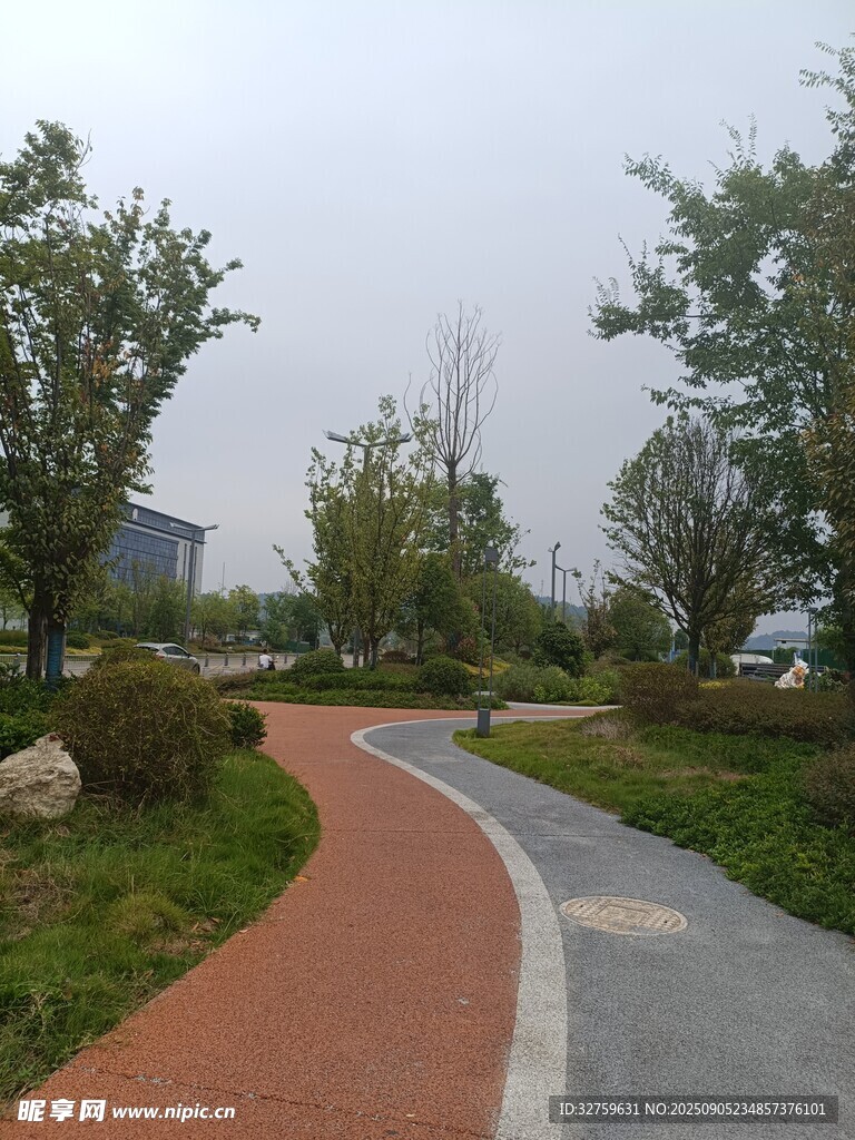 城市中的多彩林间步道