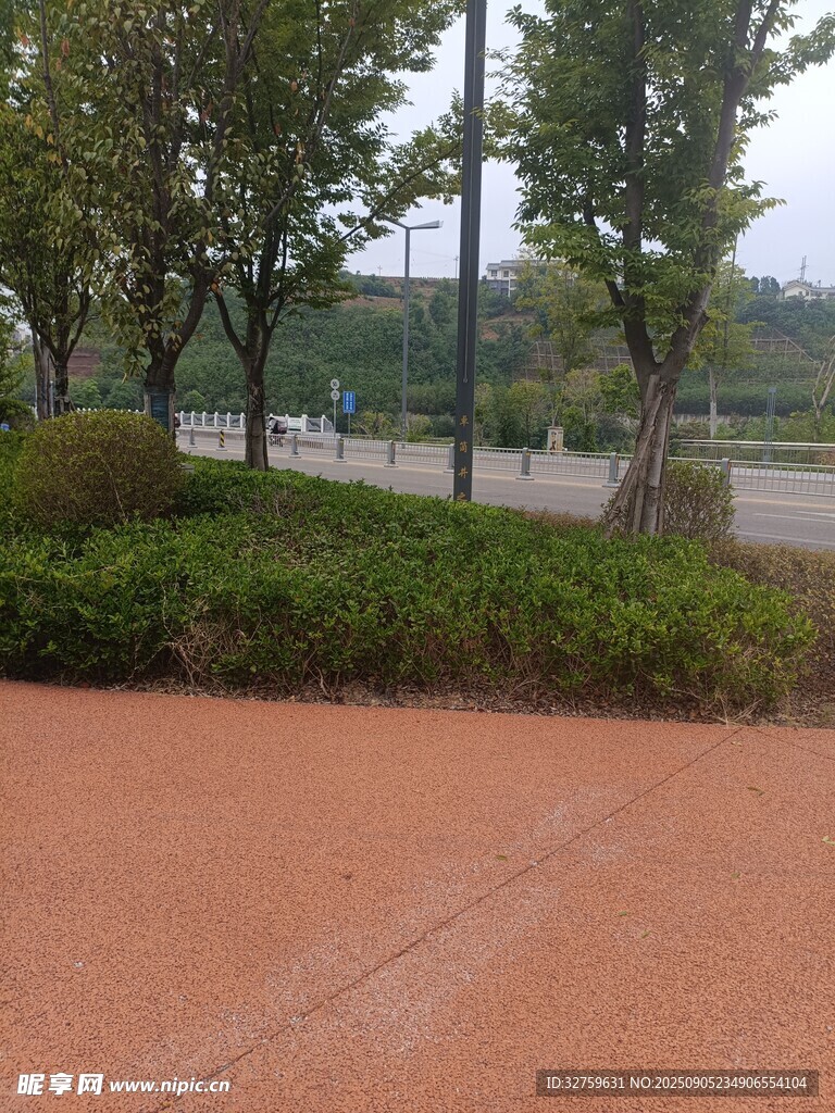 户外公园的绿植与步道