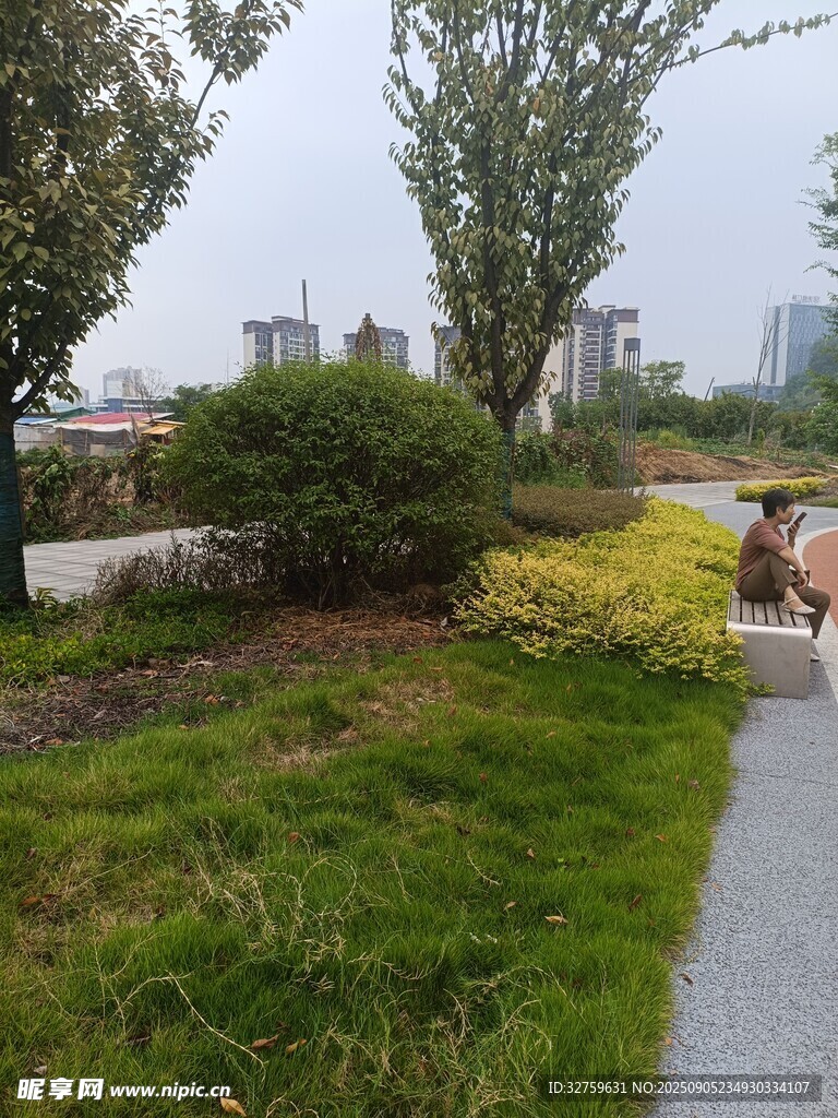 城市小径旁的绿植与行人