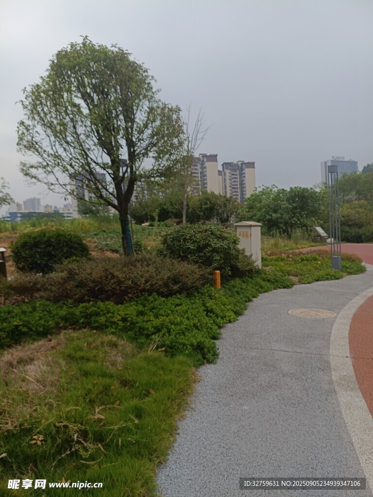 雨中蜿蜒的城郊小路
